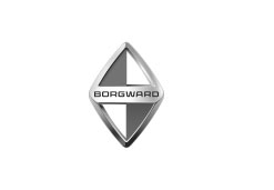 LOGO-BORGDWARD