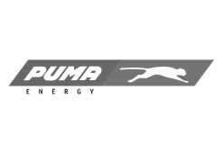 LOGO-PUMA-ENERGY